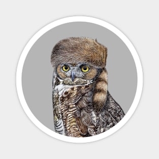 Great horned owl Magnet